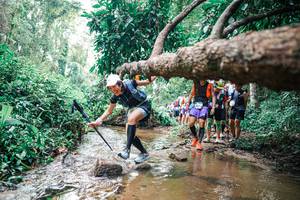 BIB: 
                            <button type="button" onclick="openModal(25373513)" class="btn btn-primary btn-sm float-right btn-popup" data-toggle="modal" data-target=".modal-high-quality">
                        <i class="fas fa-shopping-cart"></i> Add to Cart
                    </button>
                                            <button type="button" onclick="isThisMe(25373513, true)" class="btn btn-success btn-sm float-right btn-popup btn-isme hidden" data-toggle="tooltip" data-placement="bottom" title="นี่คือรูปของคุณใช่ไหม คลิกที่นี่เพื่อเอาเข้าอัลบั้ม">
                        <i class="fas fa-plus"></i> Add to album
                    </button>
                    <button type="button" onclick="isThisMe(25373513, false)" class="btn btn-warning btn-sm float-right btn-popup btn-isnotme hidden">
                        <i class="fas fa-ban"></i> Remove from album
                    </button>